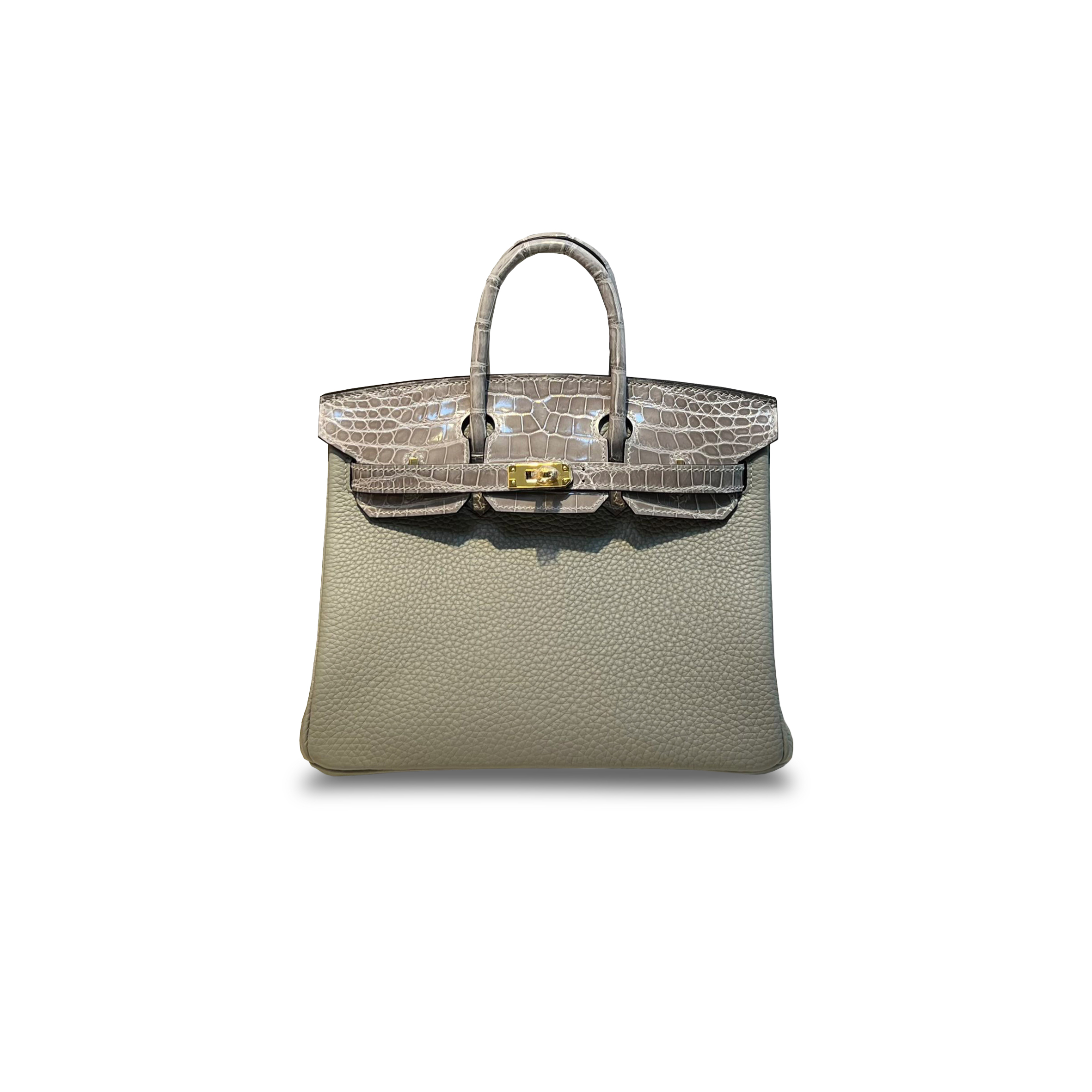 HERMÈS MASTER BIRKIN 25 CROCODILE AND TOGO LEATHER GLACIER GREY GOLD BUCKLE H076216CK36 (25*20*13cm)